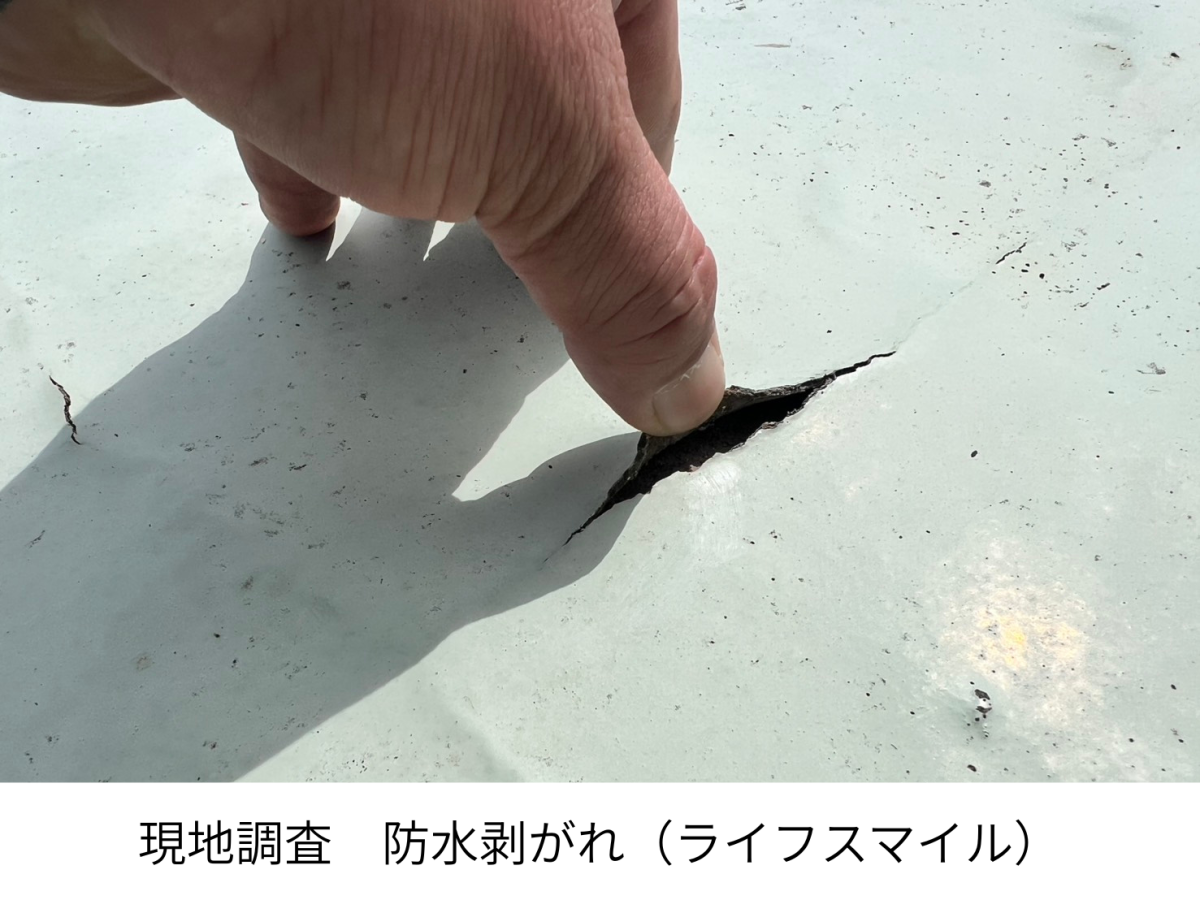 【現地調査】防水の剥がれを確認｜放置すると雨漏りの原因に